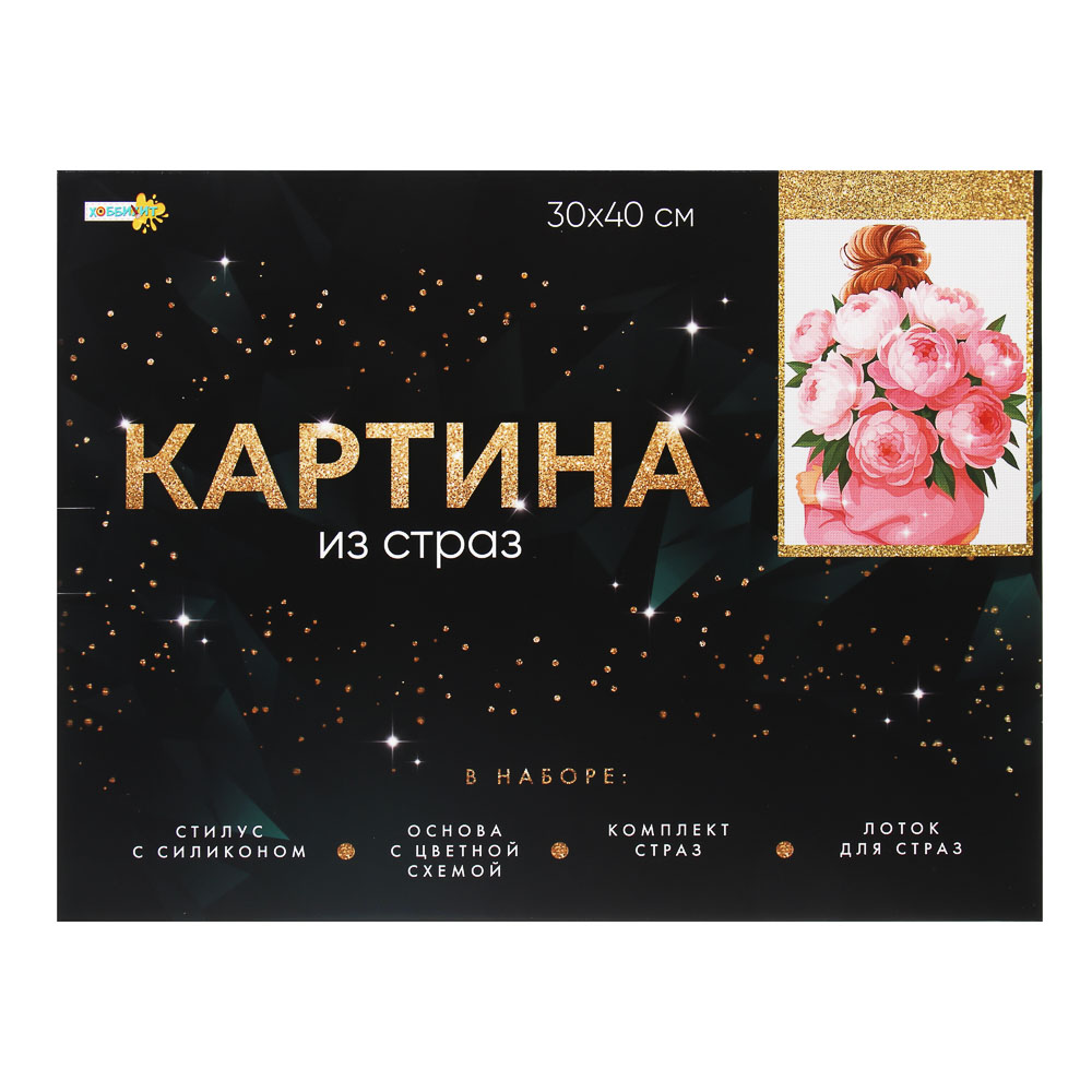 ХОББИХИТ Картина из страз, комплект: твердая основа, стразы, стилус, 30х40см, 5-10 дизайнов, арт.№ 281-183