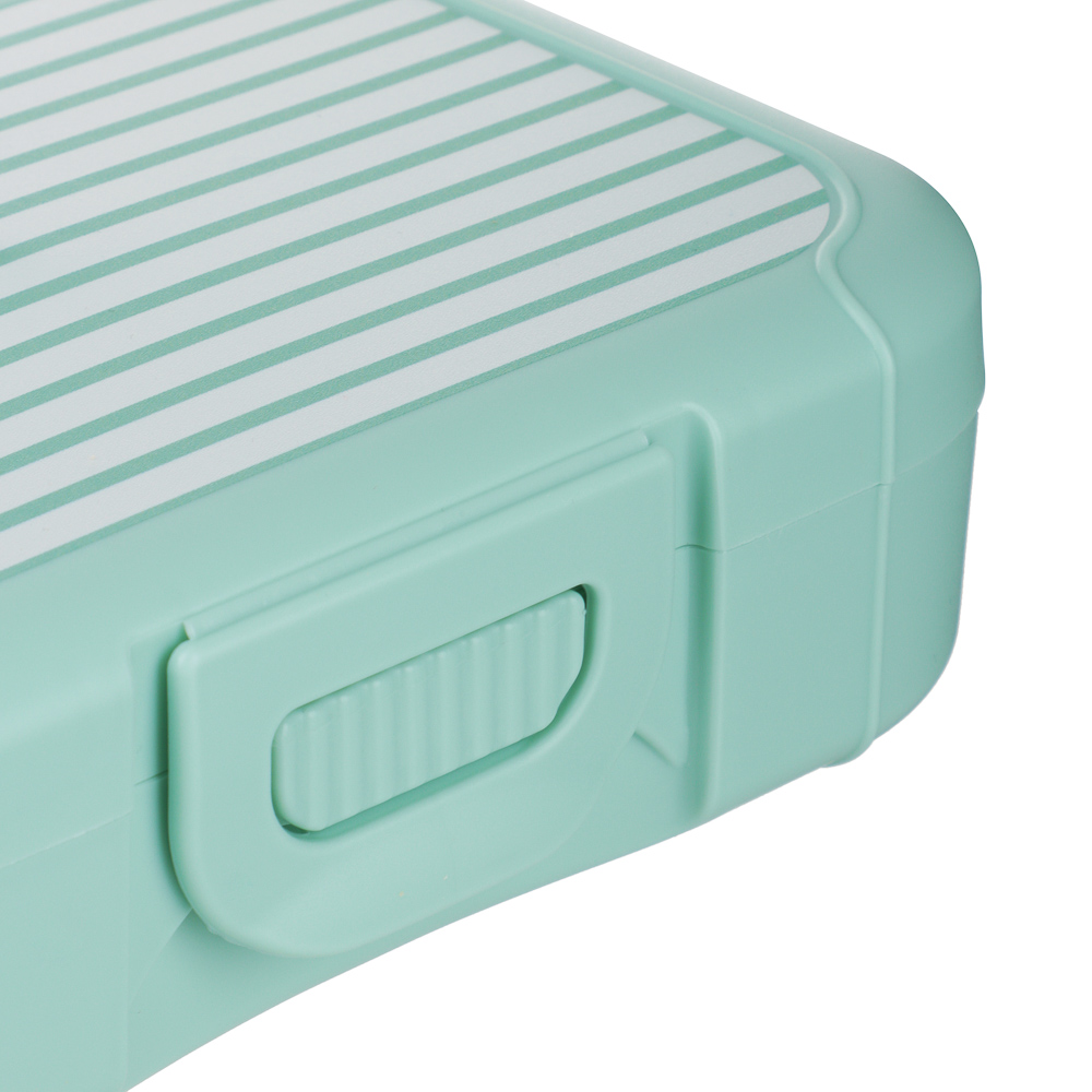 Черри Ланч-бокс 0,85л (18х12,5х5,5см), пластик, 2 цвета, арт.№ 861-598