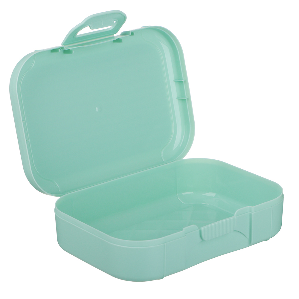 Черри Ланч-бокс 0,85л (18х12,5х5,5см), пластик, 2 цвета, арт.№ 861-598