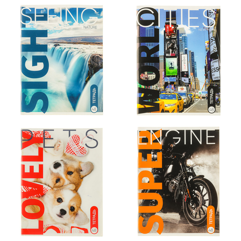 ClipStudio Тетрадь А4 48л. в клетку, блок №2, обложка картон 240г/м2, скрепка, 4 дизайна, арт.№ 524-195