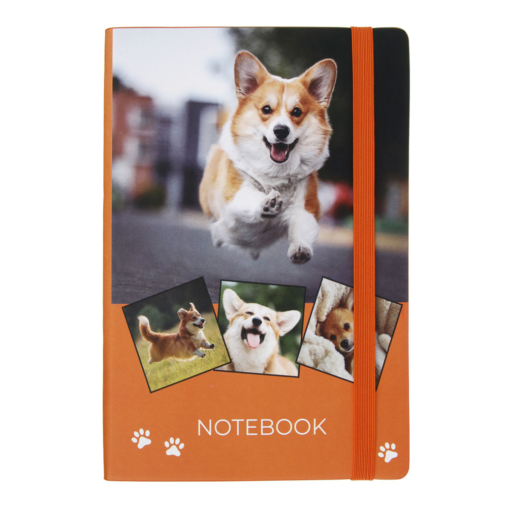 Бизнес-блокнот "ПЕТС" А5, 192 стр., гибкая обложка, иск.кожа с печатью, цветной срез, резинка, 2 закладки, 2 дизайна, арт.№ 572-266