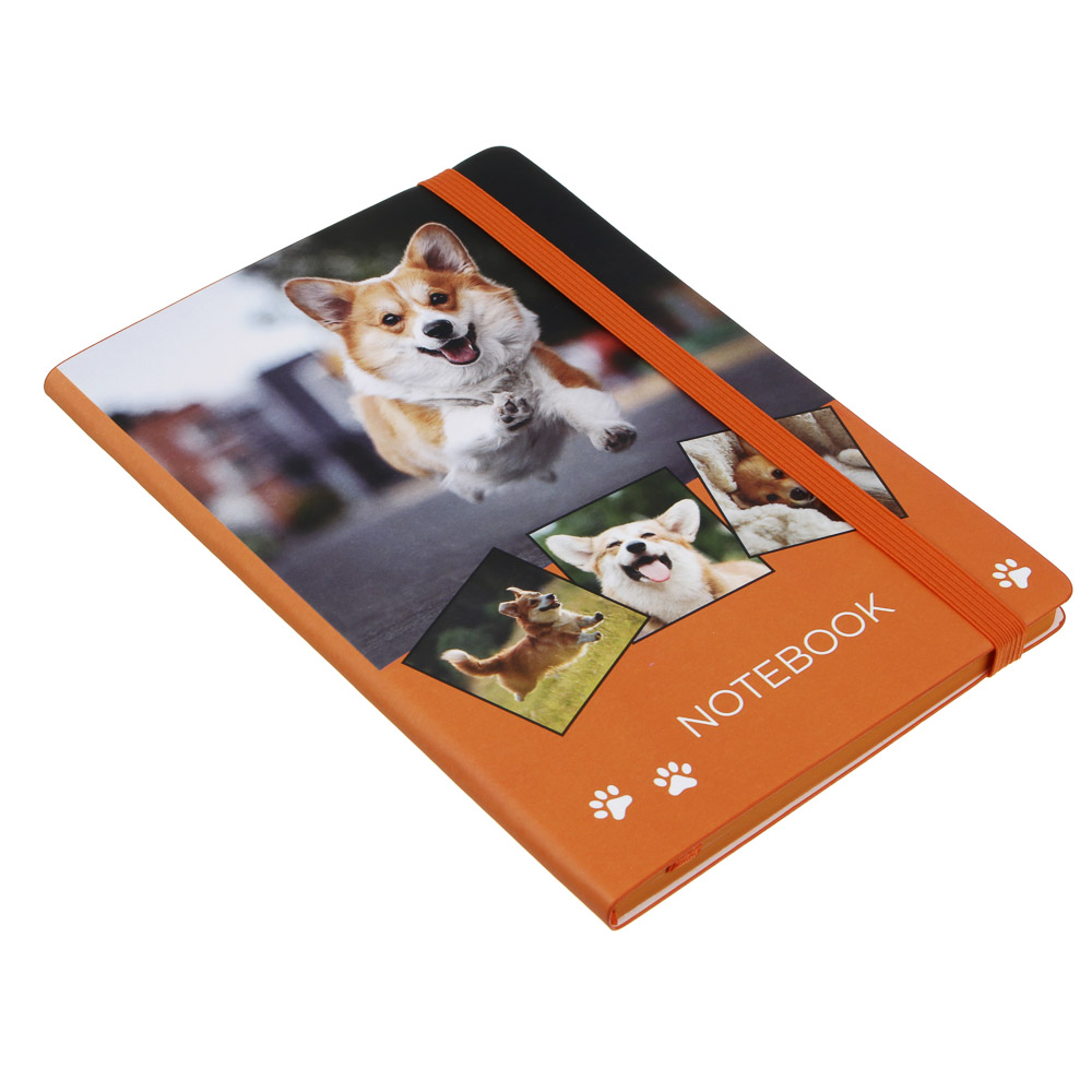 Бизнес-блокнот "ПЕТС" А5, 192 стр., гибкая обложка, иск.кожа с печатью, цветной срез, резинка, 2 закладки, 2 дизайна, арт.№ 572-266