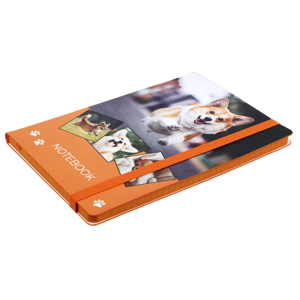 Бизнес-блокнот "ПЕТС" А5, 192 стр., гибкая обложка, иск.кожа с печатью, цветной срез, резинка, 2 закладки, 2 дизайна, арт.№ 572-266