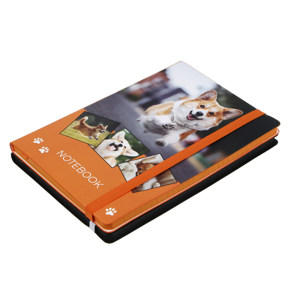 Бизнес-блокнот "ПЕТС" А5, 192 стр., гибкая обложка, иск.кожа с печатью, цветной срез, резинка, 2 закладки, 2 дизайна, арт.№ 572-266