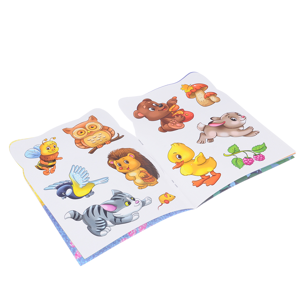 ХОББИХИТ Раскраска с наклейками, 12стр. + наклейки 2стр., бумага, 21х15см, 6 дизайнов, арт.№ 290-232