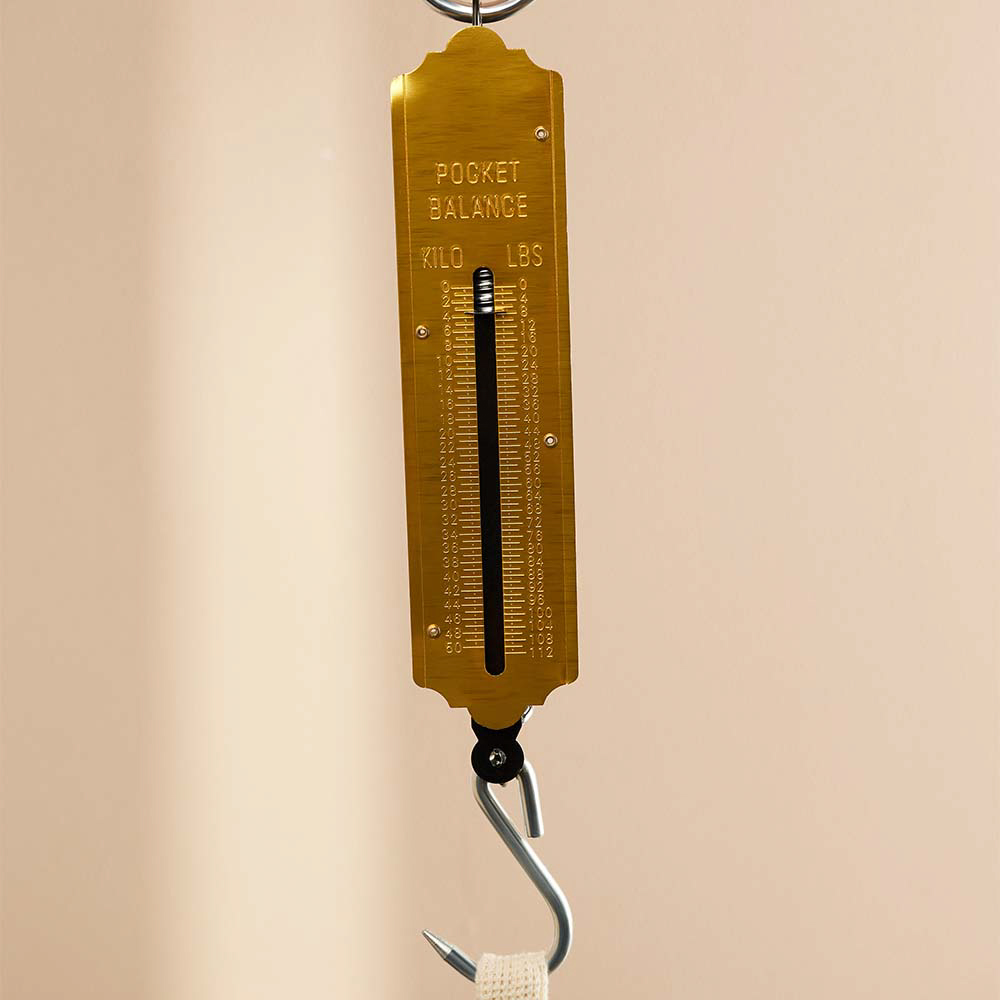 Безмен вертикальный, 50кг, металл, арт.№ 487-022