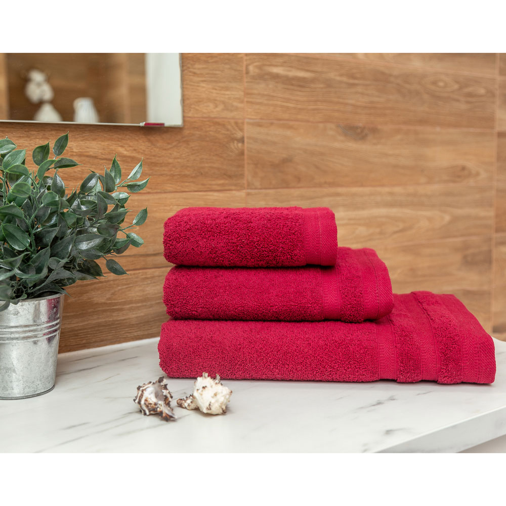 PROVANCE Виана Полотенце махровое, 100% хлопок, 30х70см, 450гр/м, 2 цвета, арт.№ 492-101