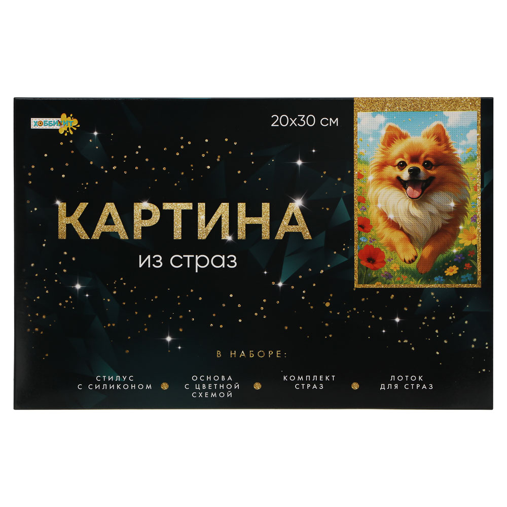 ХОББИХИТ Картина из страз, комплект (стразы, основа, палочка), 20х30см, 10 дизайнов, арт.№ 281-156
