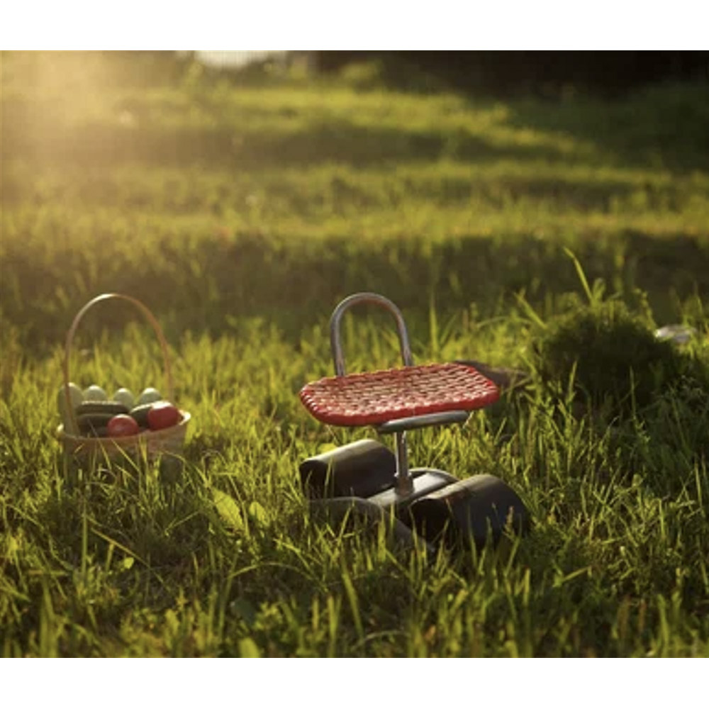 Табурет передвижной тм INBLOOM, 30x29x45см, ПВХ, РР, сталь, арт.№ 187-074