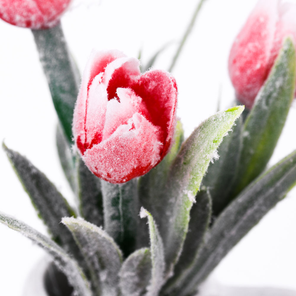 LADECOR Цветок в горшке Цветочная коллекция, пластик, полиэстер, 12х8х6 см, 2вида, 6 цветов, 1507-16, арт.№ 501-440