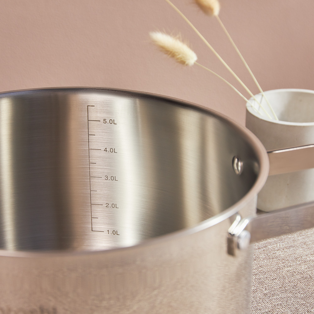 SATOSHI Шато Кастрюля 24х13,5см. 5,9л. со стекл. крышкой, индукция, арт.№ 822-268