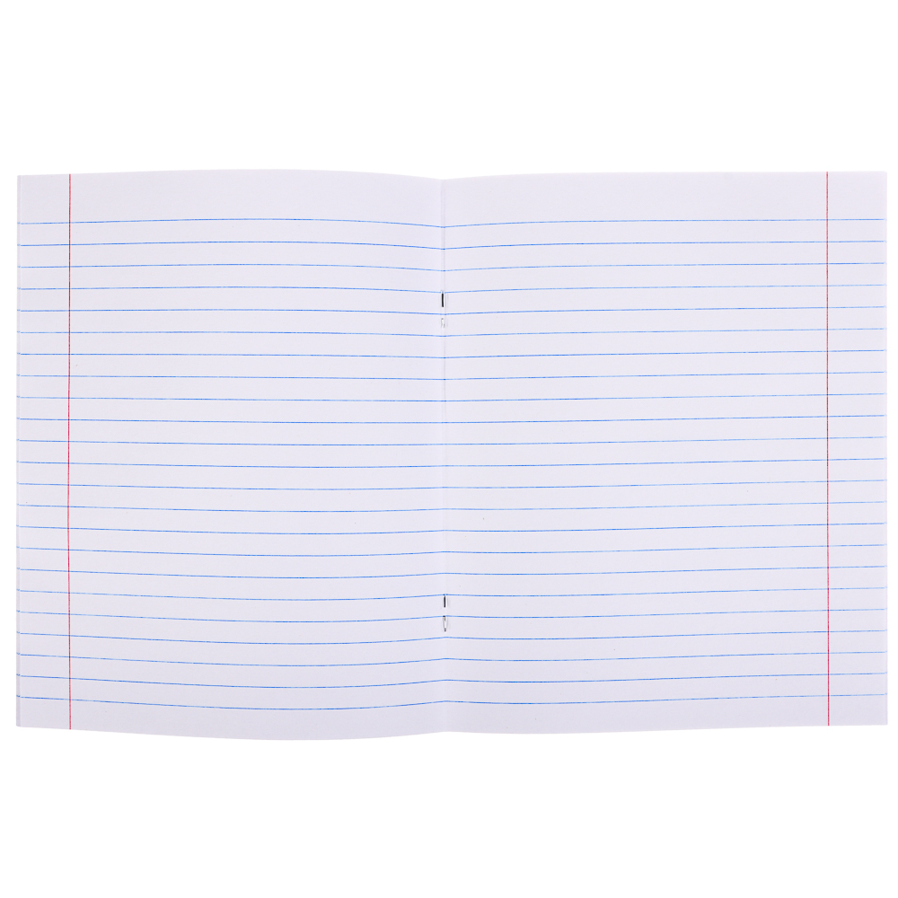 Тетрадь школьная 24л. ClipStudio в линейку, БЕЛЫЕ ЛИСТЫ, скрепка, обложка пластик, арт.№ 579-017