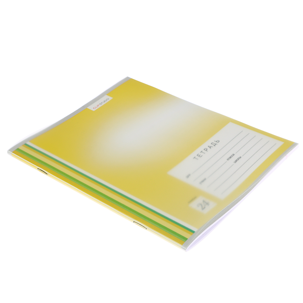 Тетрадь школьная 24л. ClipStudio в линейку, БЕЛЫЕ ЛИСТЫ, скрепка, обложка пластик, арт.№ 579-017