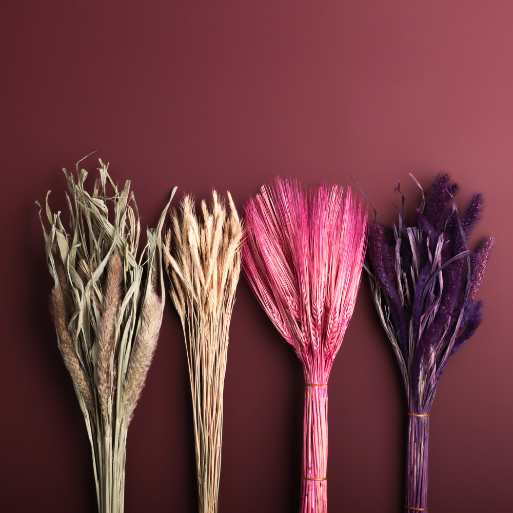 Сухоцветы Ячмень, Могара, тм Колхоз Луч, 70г, в ассортименте, арт.№ 426-010