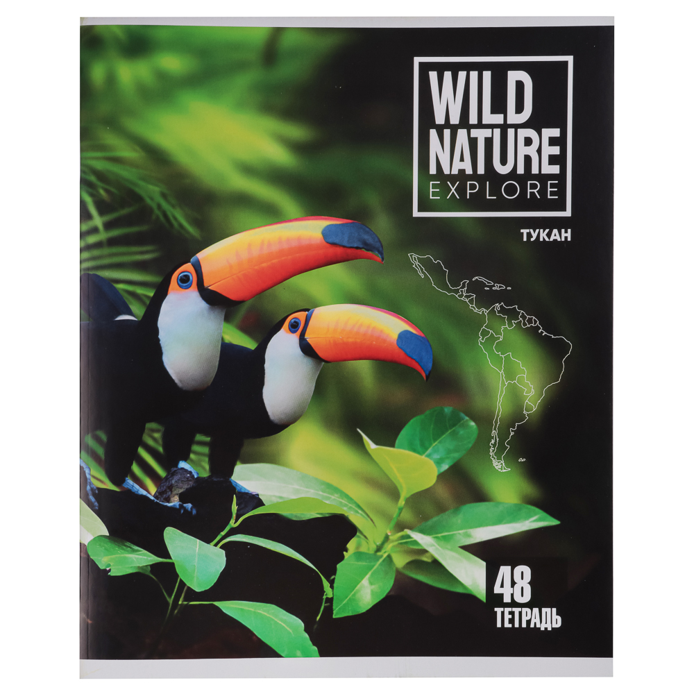 Тетрадь 48л. ClipStudio А5, в клетку, БЕЛЫЕ ЛИСТЫ, обложка картон, скрепка, 5 дизайнов, арт.№ 578-002