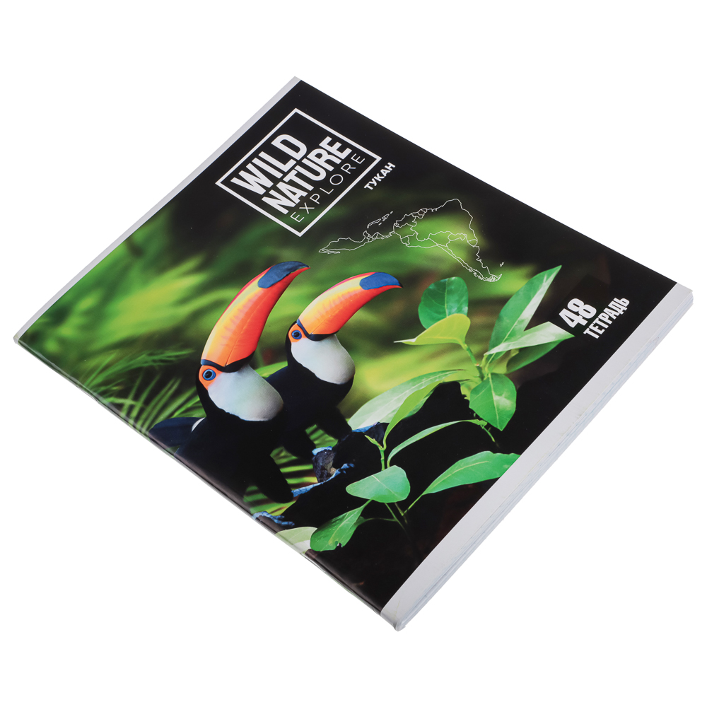 Тетрадь 48л. ClipStudio А5, в клетку, БЕЛЫЕ ЛИСТЫ, обложка картон, скрепка, 5 дизайнов, арт.№ 578-002