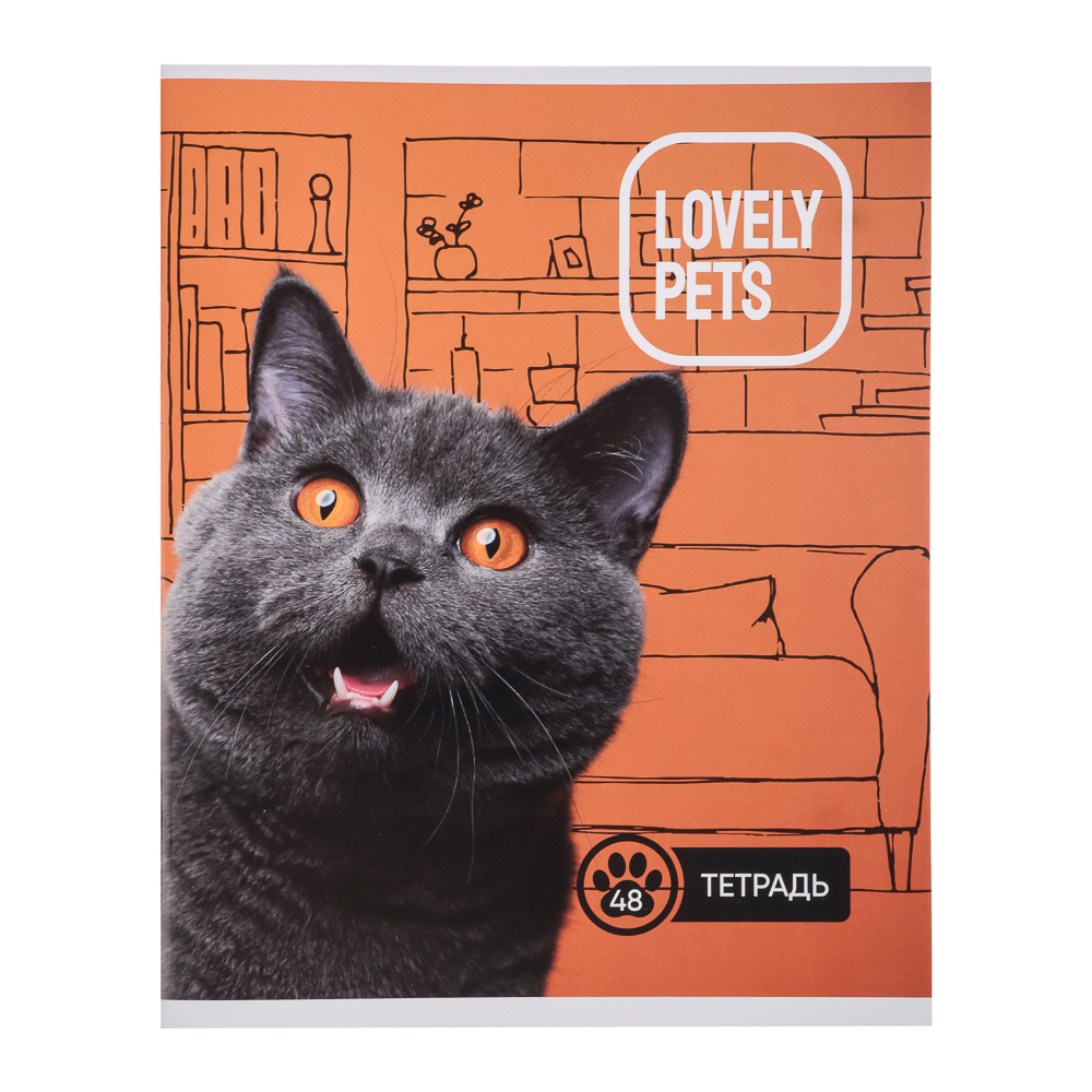 Тетрадь 48л. ClipStudio А5, в клетку, БЕЛЫЕ ЛИСТЫ, обложка картон, скрепка, 5 дизайнов, арт.№ 578-002