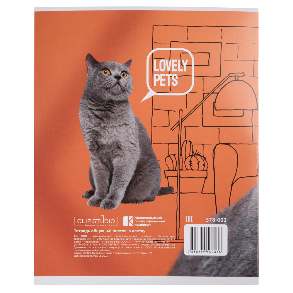 Тетрадь 48л. ClipStudio А5, в клетку, БЕЛЫЕ ЛИСТЫ, обложка картон, скрепка, 5 дизайнов, арт.№ 578-002