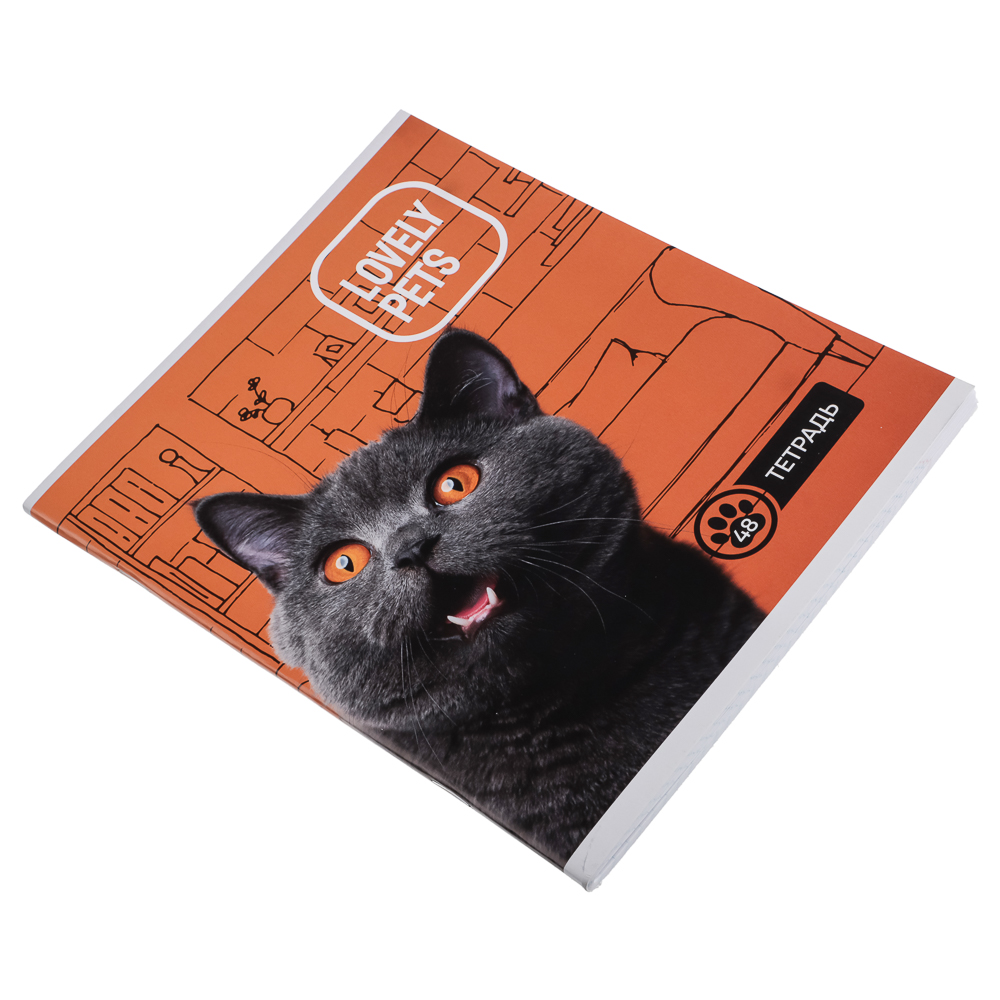 Тетрадь 48л. ClipStudio А5, в клетку, БЕЛЫЕ ЛИСТЫ, обложка картон, скрепка, 5 дизайнов, арт.№ 578-002