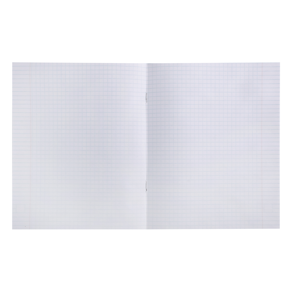 Тетрадь 48л. ClipStudio А5, в клетку, БЕЛЫЕ ЛИСТЫ, обложка картон, скрепка, 5 дизайнов, арт.№ 578-002