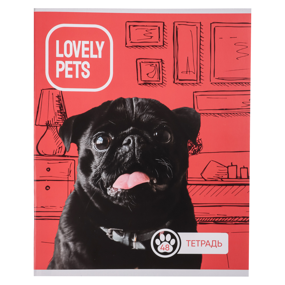 Тетрадь 48л. ClipStudio А5, в клетку, БЕЛЫЕ ЛИСТЫ, обложка картон, скрепка, 5 дизайнов, арт.№ 578-002