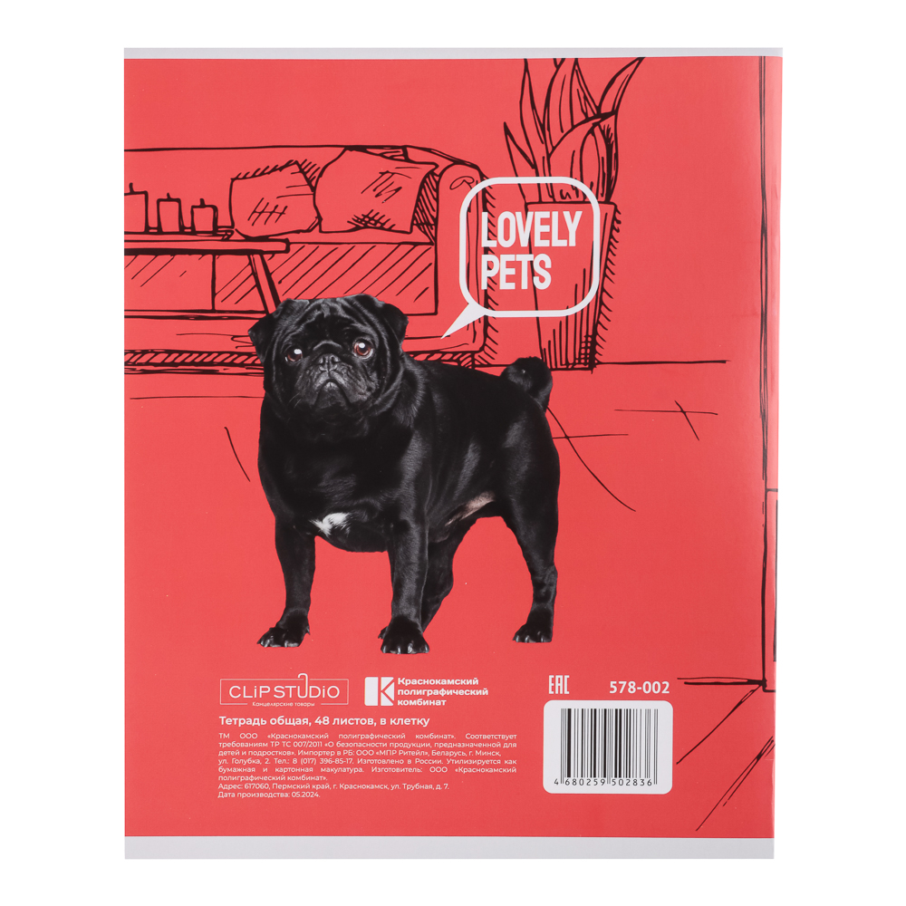 Тетрадь 48л. ClipStudio А5, в клетку, БЕЛЫЕ ЛИСТЫ, обложка картон, скрепка, 5 дизайнов, арт.№ 578-002