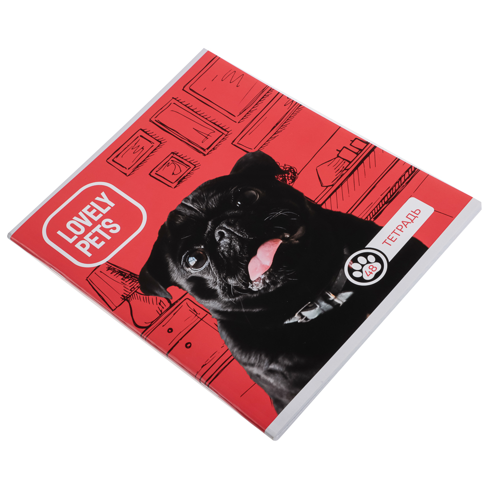 Тетрадь 48л. ClipStudio А5, в клетку, БЕЛЫЕ ЛИСТЫ, обложка картон, скрепка, 5 дизайнов, арт.№ 578-002