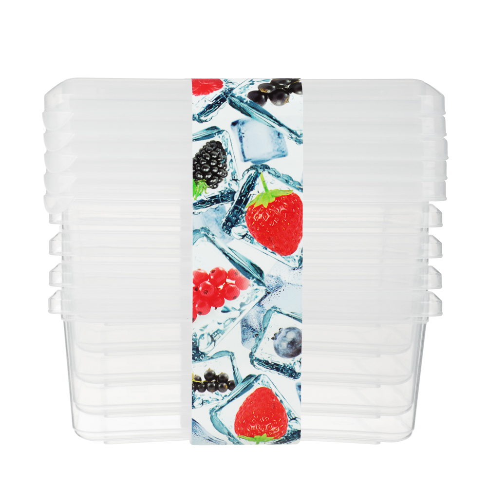 Набор контейнеров для заморозки 0,5 л 5шт, пластик, арт.№ 861-299