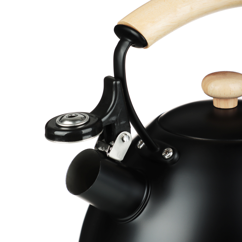 SATOSHI Нера Чайник 2,5л нерж.сталь, индукция, арт.№ 847-001