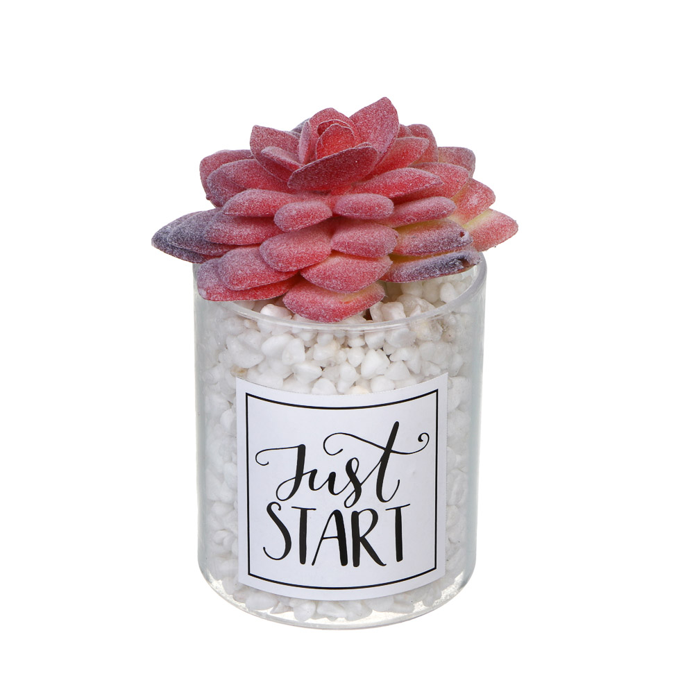 LADECOR Суккулент искусственный, 5х9-11 см, пластик, 3 дизайна, арт.№ 501-575