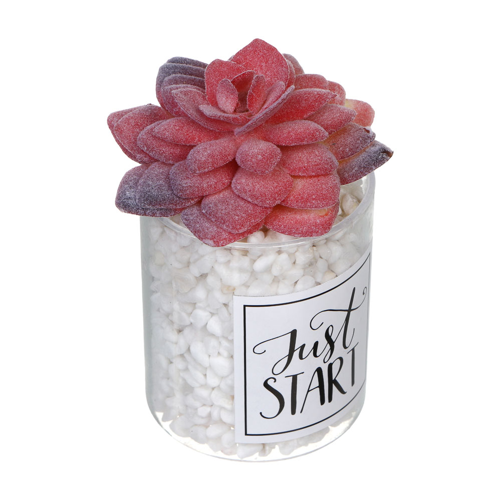 LADECOR Суккулент искусственный, 5х9-11 см, пластик, 3 дизайна, арт.№ 501-575