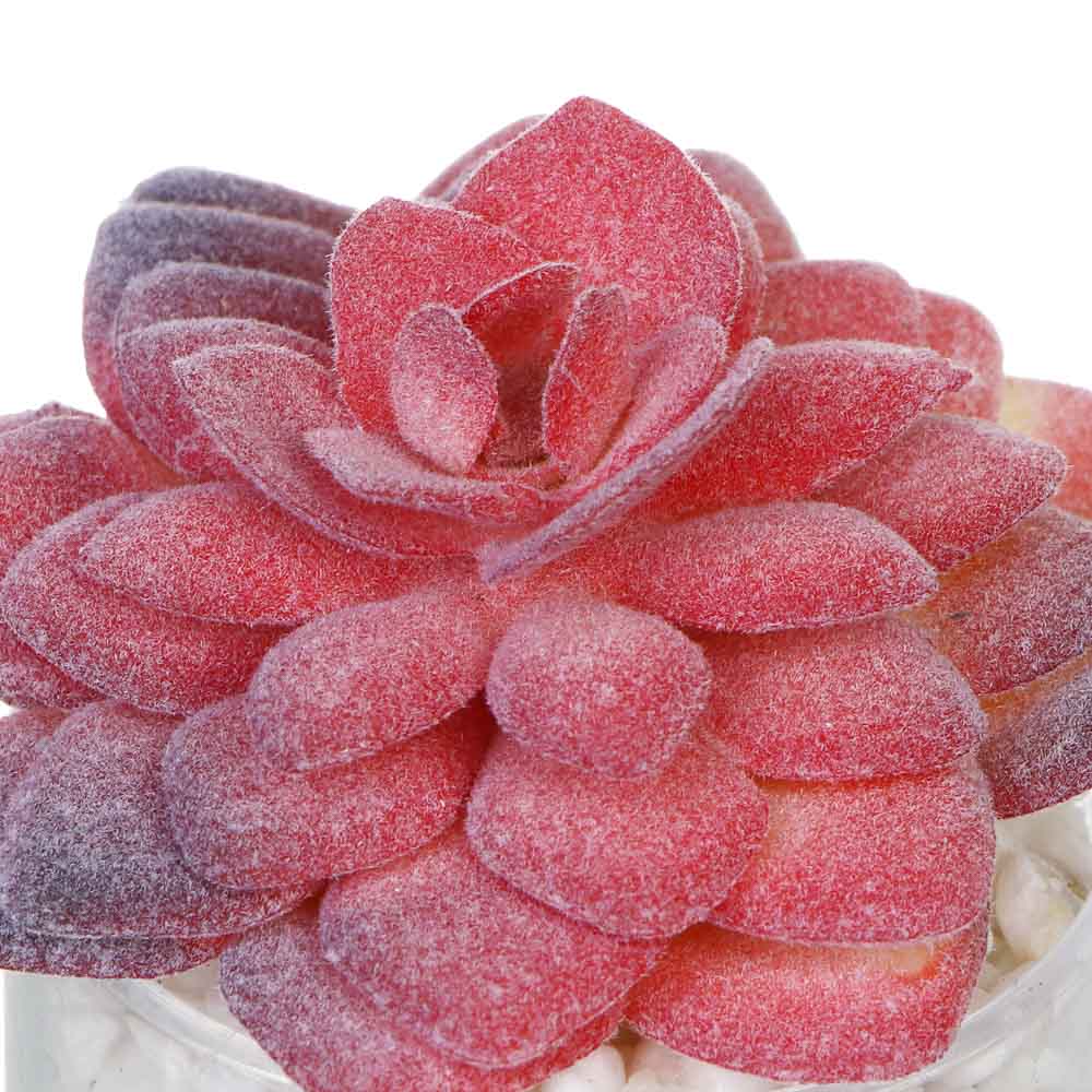 LADECOR Суккулент искусственный, 5х9-11 см, пластик, 3 дизайна, арт.№ 501-575