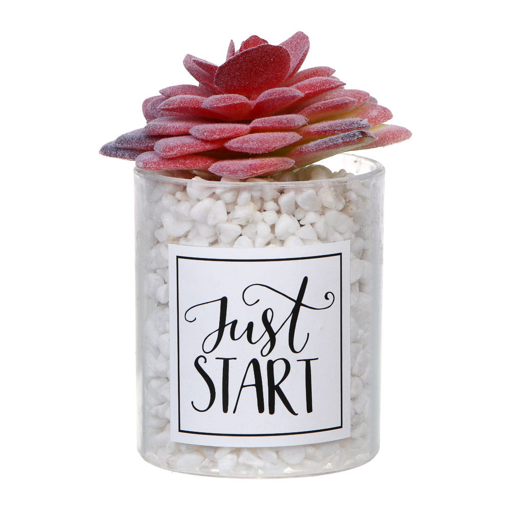 LADECOR Суккулент искусственный, 5х9-11 см, пластик, 3 дизайна, арт.№ 501-575