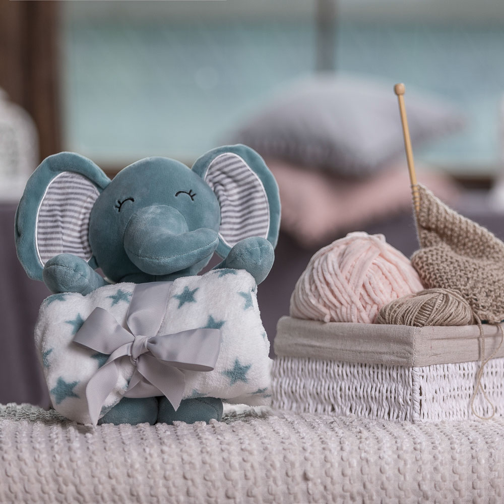 PROVANCE Мятный Латте Плед в комплекте с сувениром 90х75см, 240гр/м, 100% полиэстер, 3 дизайна, арт.№ 488-039