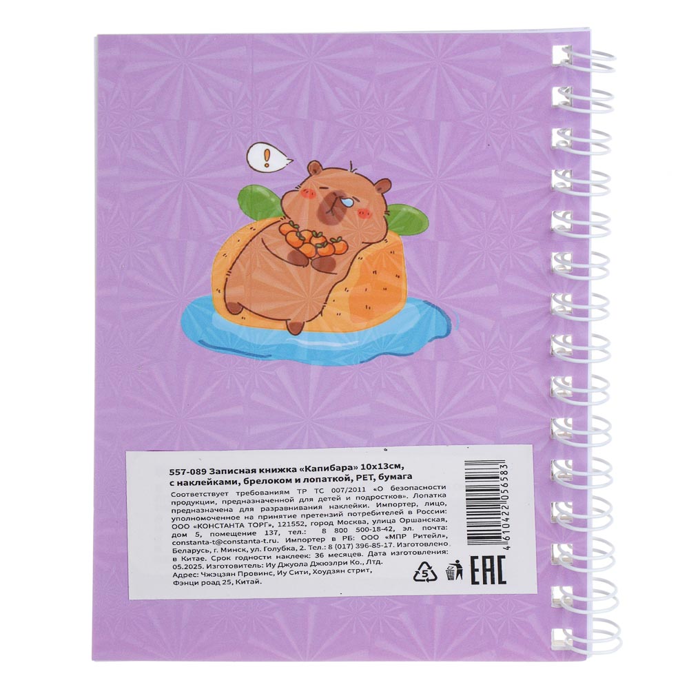 Записная книжка "Капибара" 10х13см, с наклейками, брелоком и лопаткой, PET, бумага, 6 диз., шоу-бокс, арт.№ 557-089