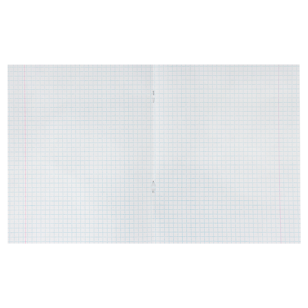 Тетрадь школьная 18л. в клетку, блок №2, зеленая обл., скрепка, арт.№ 579-008