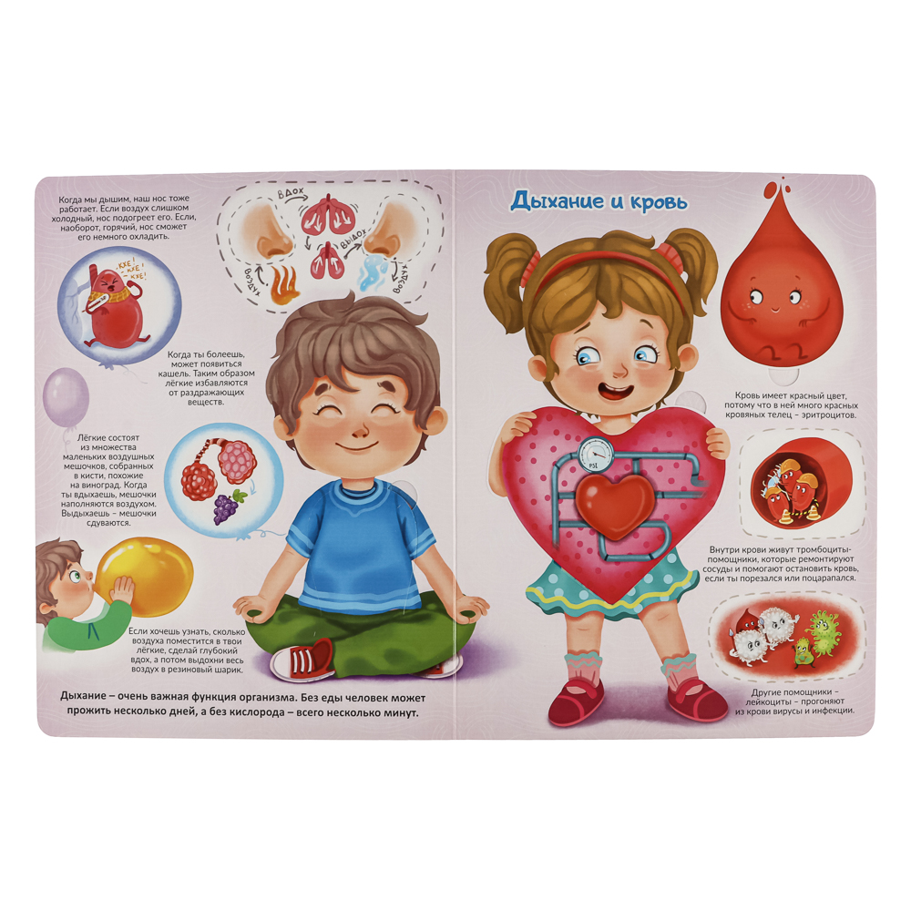 Книжка с окошками, 20х26 см, 10 стр., 4 дизайна, арт.№ 857-176