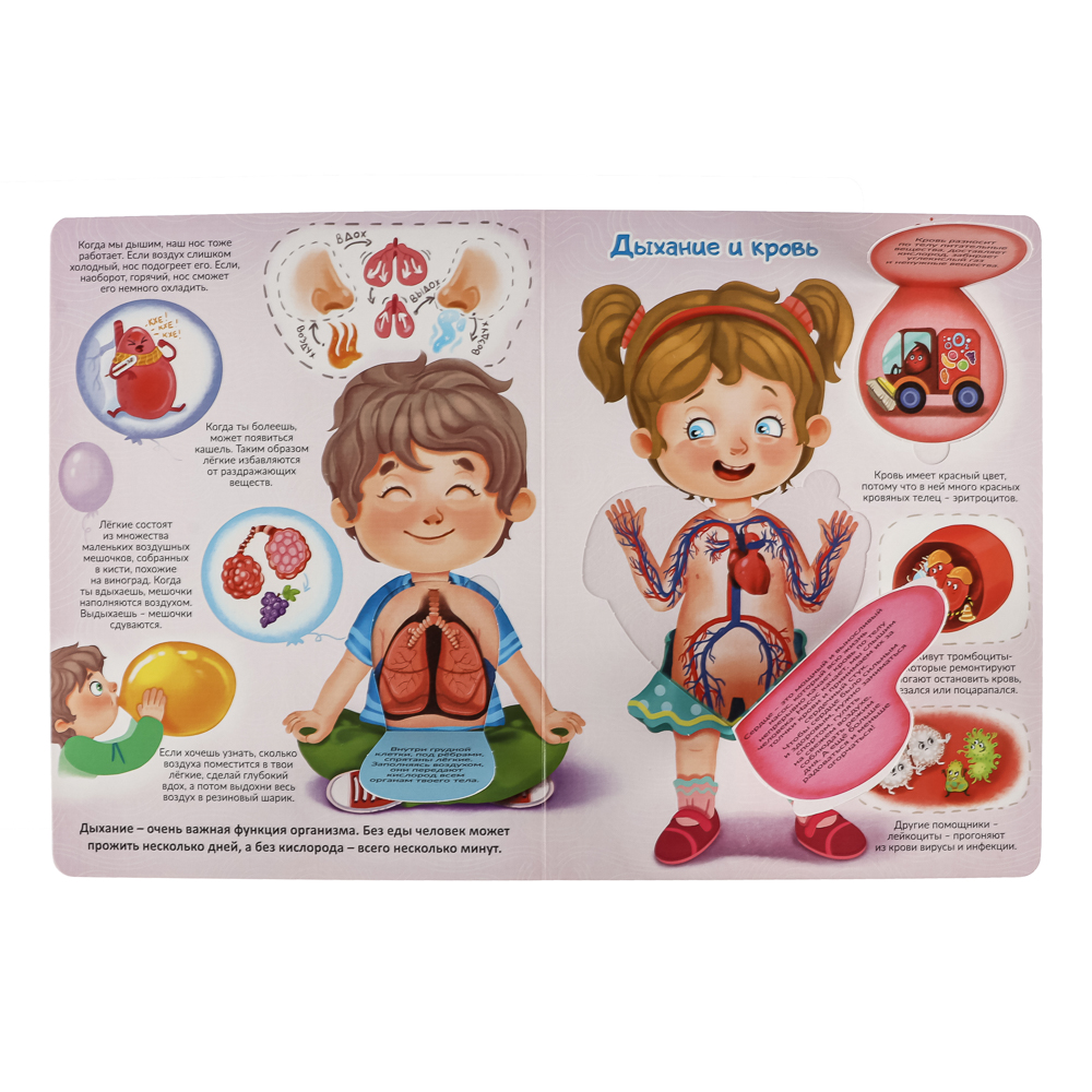 Книжка с окошками, 20х26 см, 10 стр., 4 дизайна, арт.№ 857-176