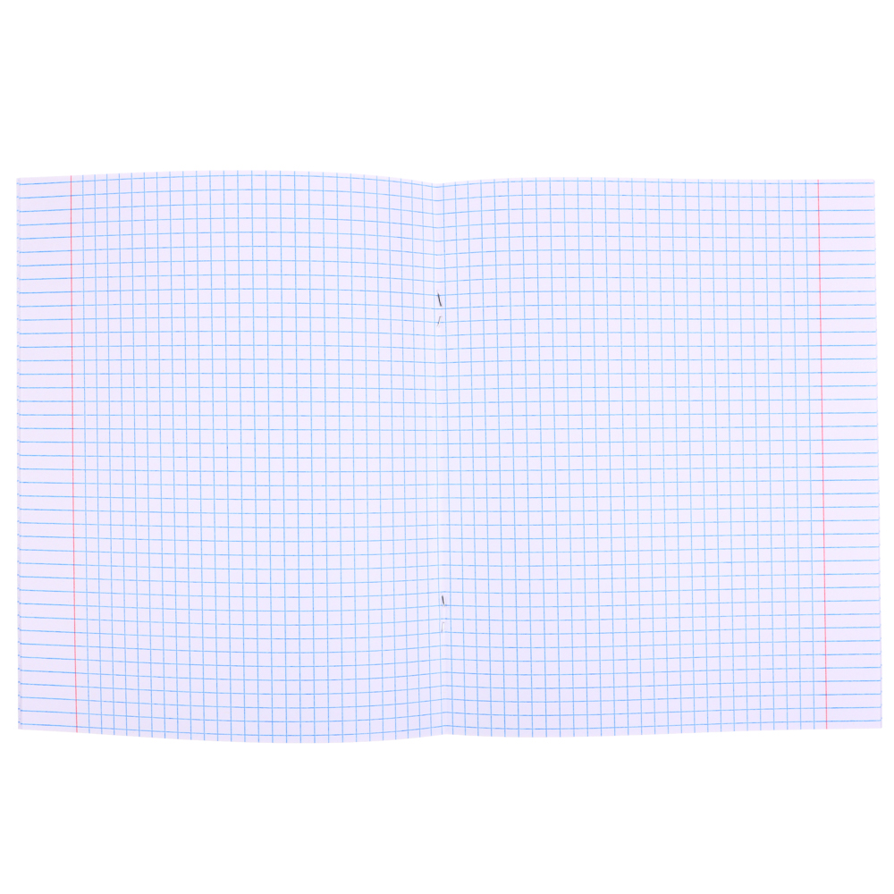 Тетрадь школьная 24л. ClipStudio в клетку, БЕЛЫЕ ЛИСТЫ, скрепка, обложка пластик, арт.№ 579-016