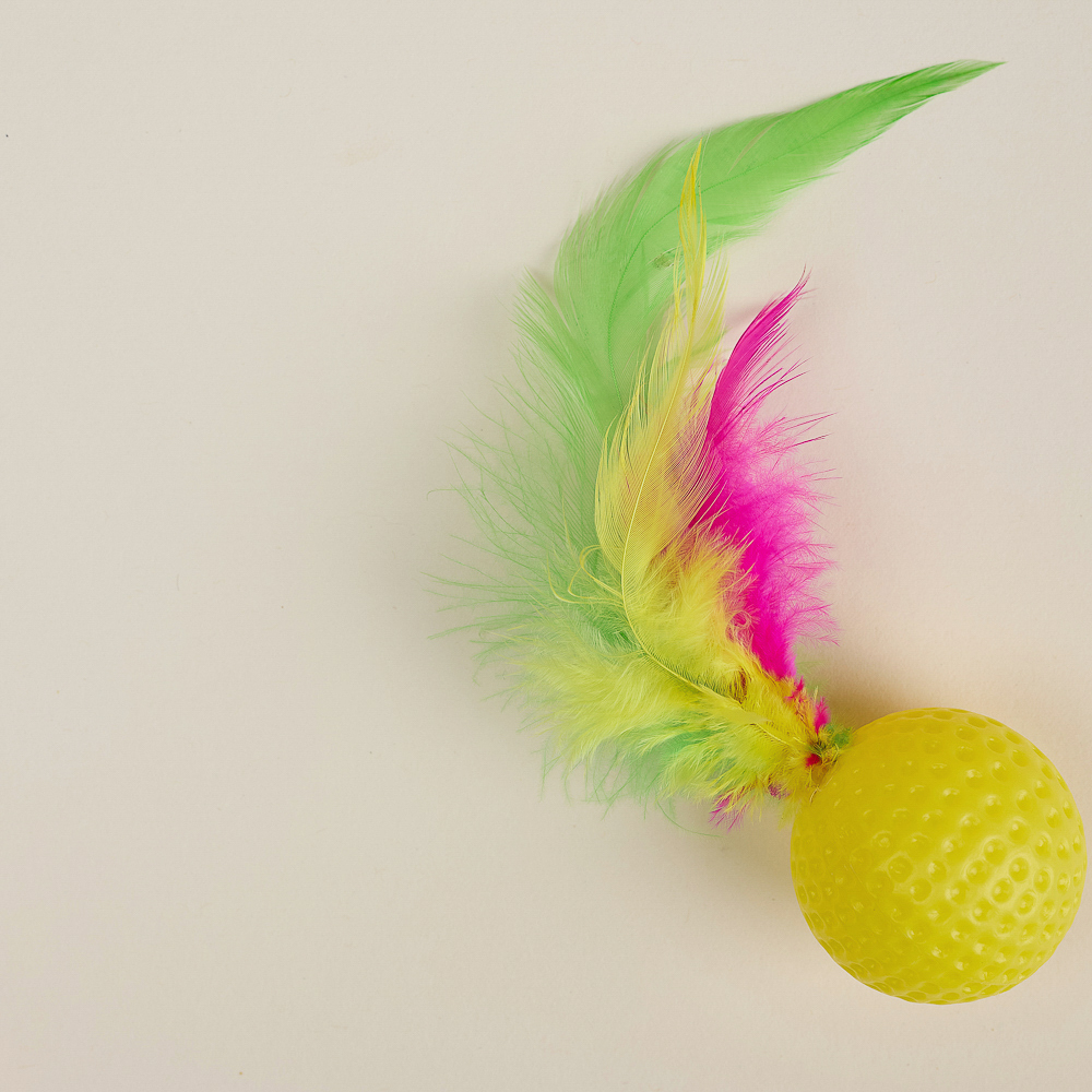 VETTA Игрушка для домашних животных, набор 2 шт, шарики с перьями, пластмасса, арт.№ 273-188