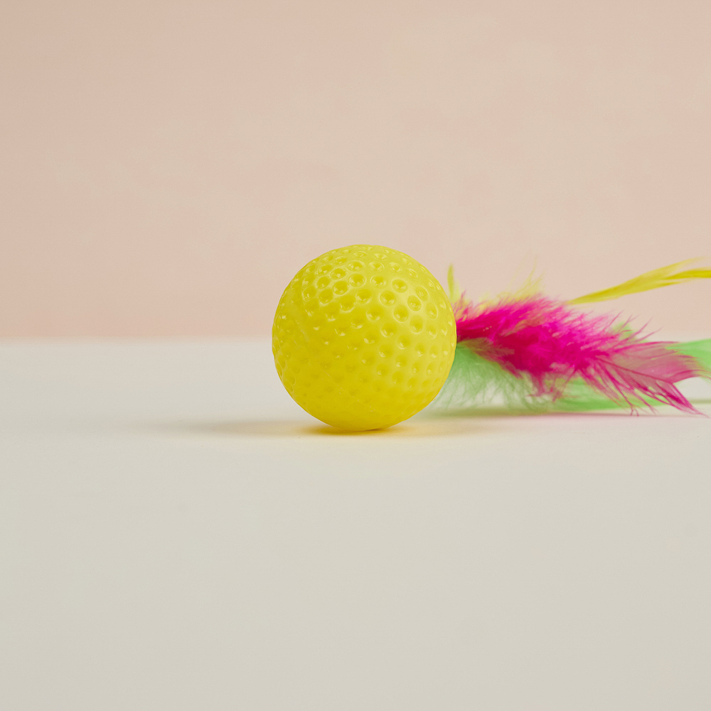 VETTA Игрушка для домашних животных, набор 2 шт, шарики с перьями, пластмасса, арт.№ 273-188