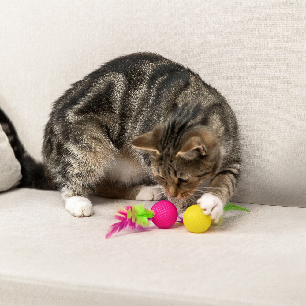 VETTA Игрушка для домашних животных, набор 2 шт, шарики с перьями, пластмасса, арт.№ 273-188