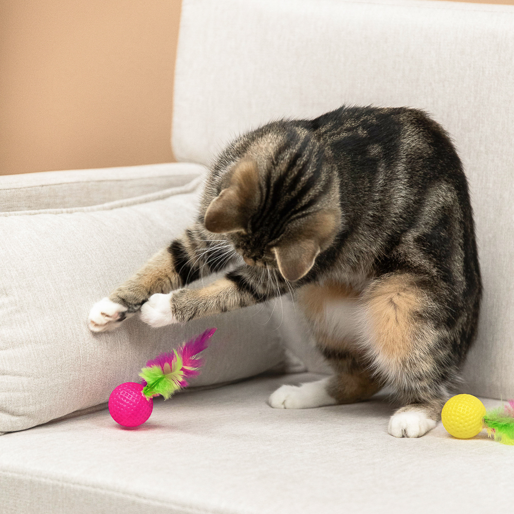 VETTA Игрушка для домашних животных, набор 2 шт, шарики с перьями, пластмасса, арт.№ 273-188