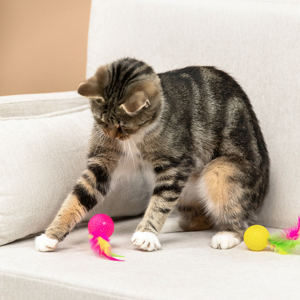 VETTA Игрушка для домашних животных, набор 2 шт, шарики с перьями, пластмасса, арт.№ 273-188