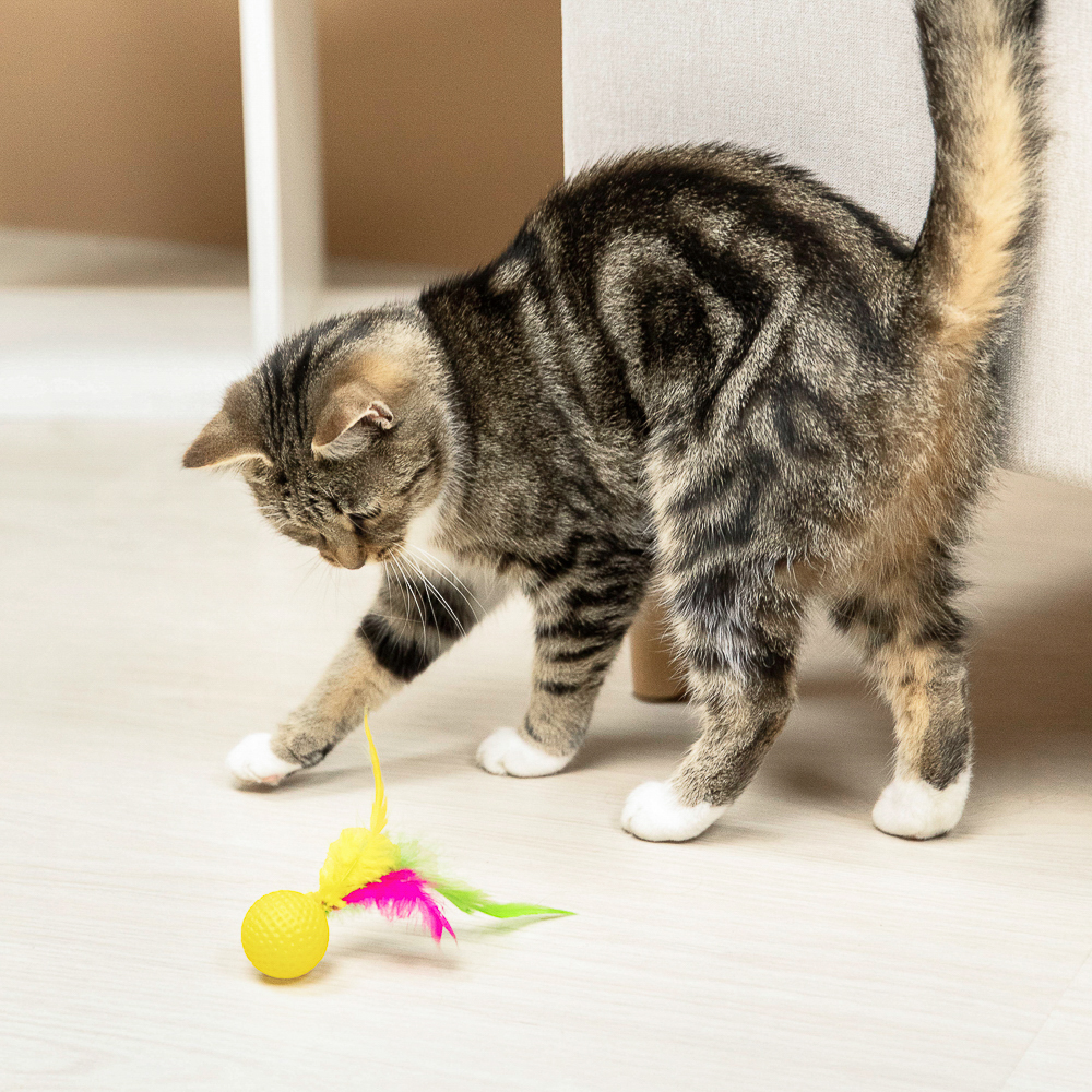 VETTA Игрушка для домашних животных, набор 2 шт, шарики с перьями, пластмасса, арт.№ 273-188