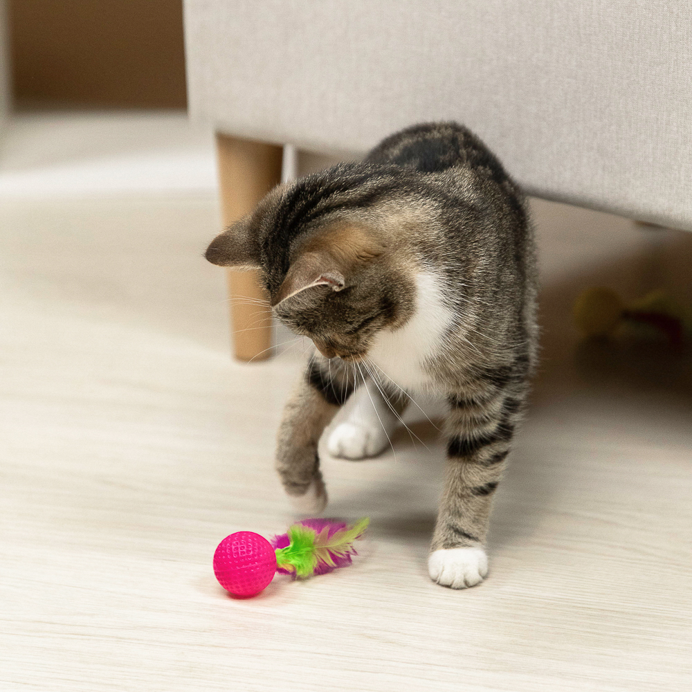 VETTA Игрушка для домашних животных, набор 2 шт, шарики с перьями, пластмасса, арт.№ 273-188