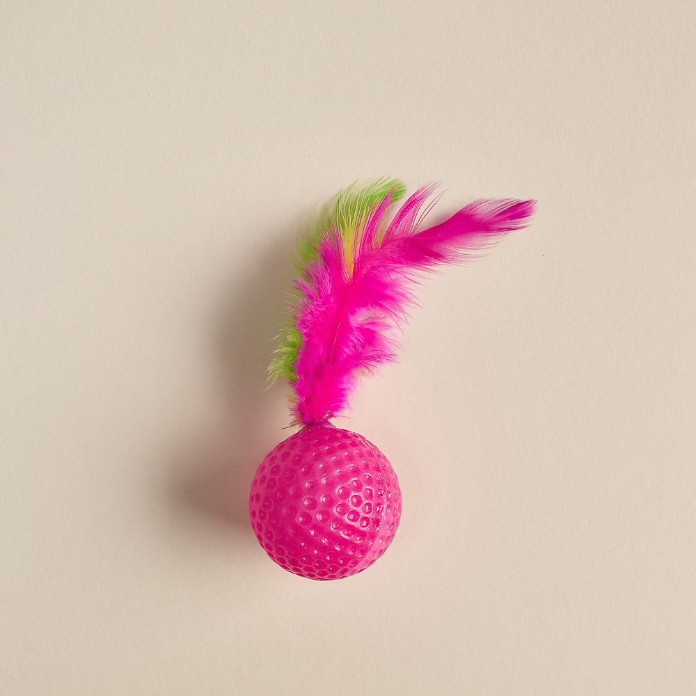 VETTA Игрушка для домашних животных, набор 2 шт, шарики с перьями, пластмасса, арт.№ 273-188