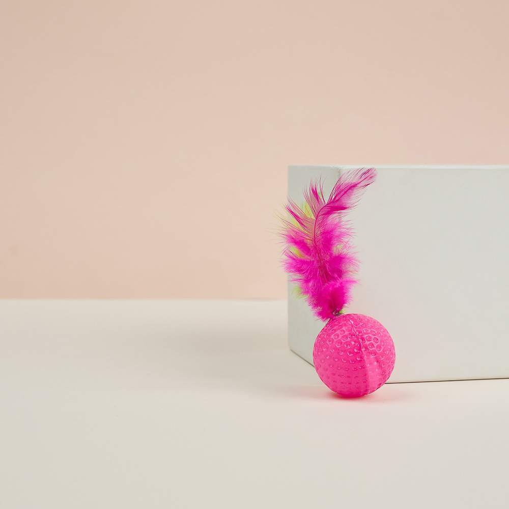 VETTA Игрушка для домашних животных, набор 2 шт, шарики с перьями, пластмасса, арт.№ 273-188