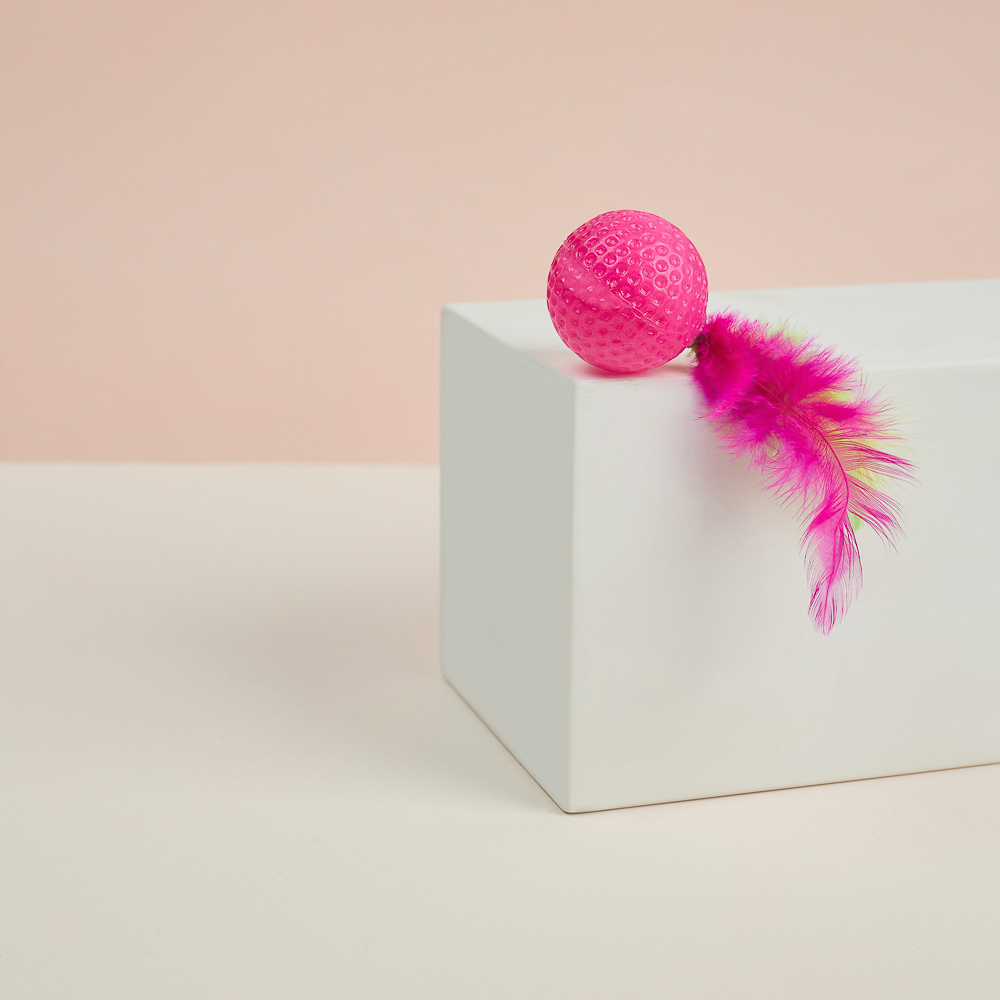 VETTA Игрушка для домашних животных, набор 2 шт, шарики с перьями, пластмасса, арт.№ 273-188