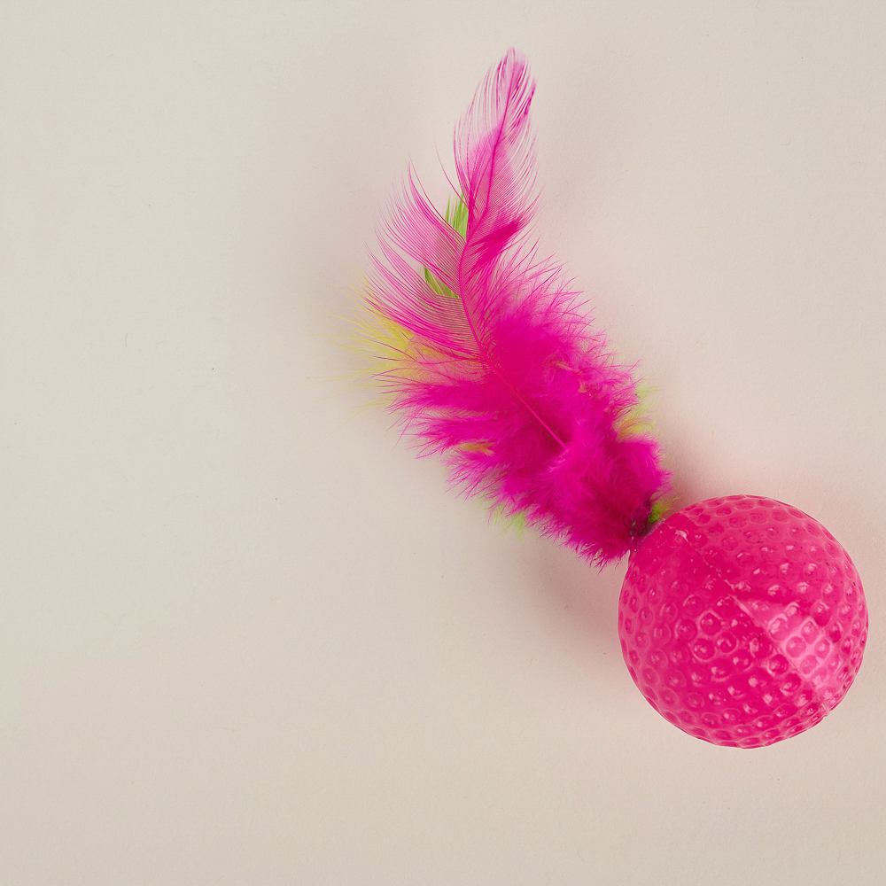 VETTA Игрушка для домашних животных, набор 2 шт, шарики с перьями, пластмасса, арт.№ 273-188